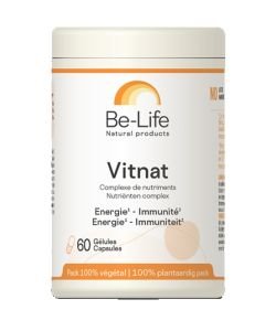 Vitnat (multivitamins), 60 capsules